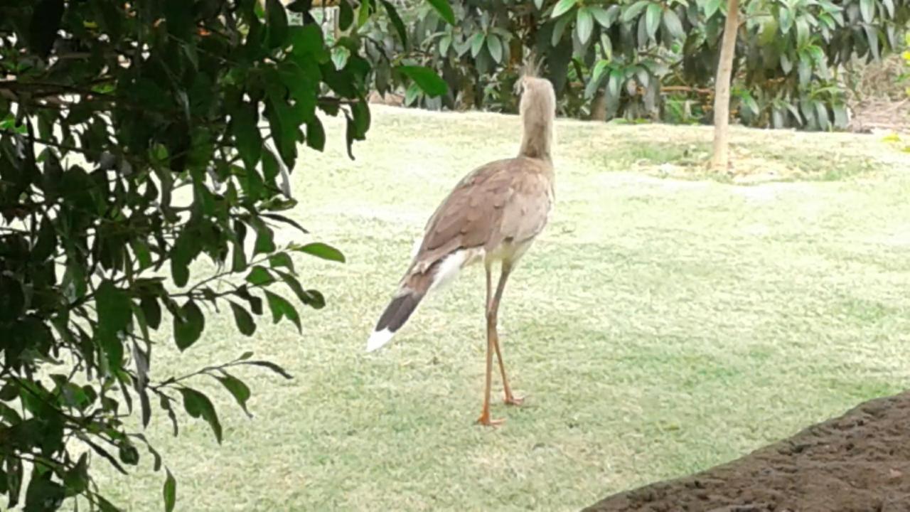 Chácara Família H Caratinga Exterior foto